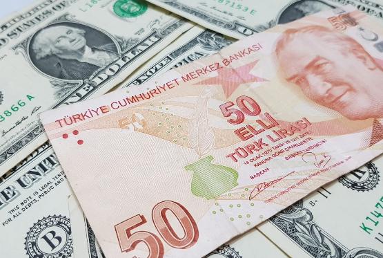 Türkiyədə dolların  – SON  MƏZƏNNƏSİ