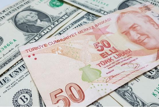 Türkiyədə dolların – SON MƏZƏNNƏSİ