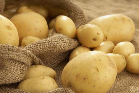 Kartof istehsalı artmadığı halda ixracı 15% artıb