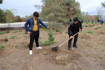 "Birbank" istifadəçilərinin dəstəyilə Gəncədə - [b]Ağacəkmə Aksiyası Keçirildi[/b] | FED.az