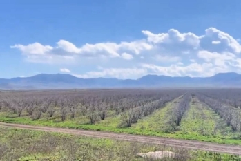 "Zəfər Bağları" işçi axtarır - VAKANSİYA