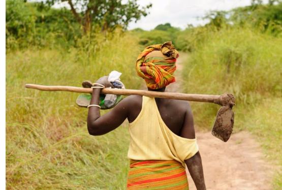 Африканские женщины фермерши будут пользоваться биткойном