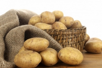 Kartof kəskin bahalaşdı - VİDEO