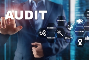 Agentlik auditor  seçir