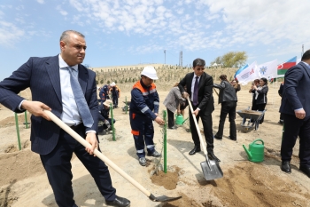 YAP-ın Sabunçu təşkilatı və “Balakhani Operating Company LTD”nin birgə təşəbbüsü ilə ağacəkmə aksiyası keçirilib | FED.az