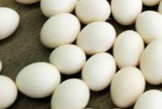 Yumurta istehsalı azalacaq – SƏBƏB