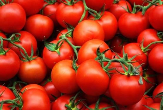 Azərbaycanın xaricə pomidor satışından gəliri - AÇIQLANDI